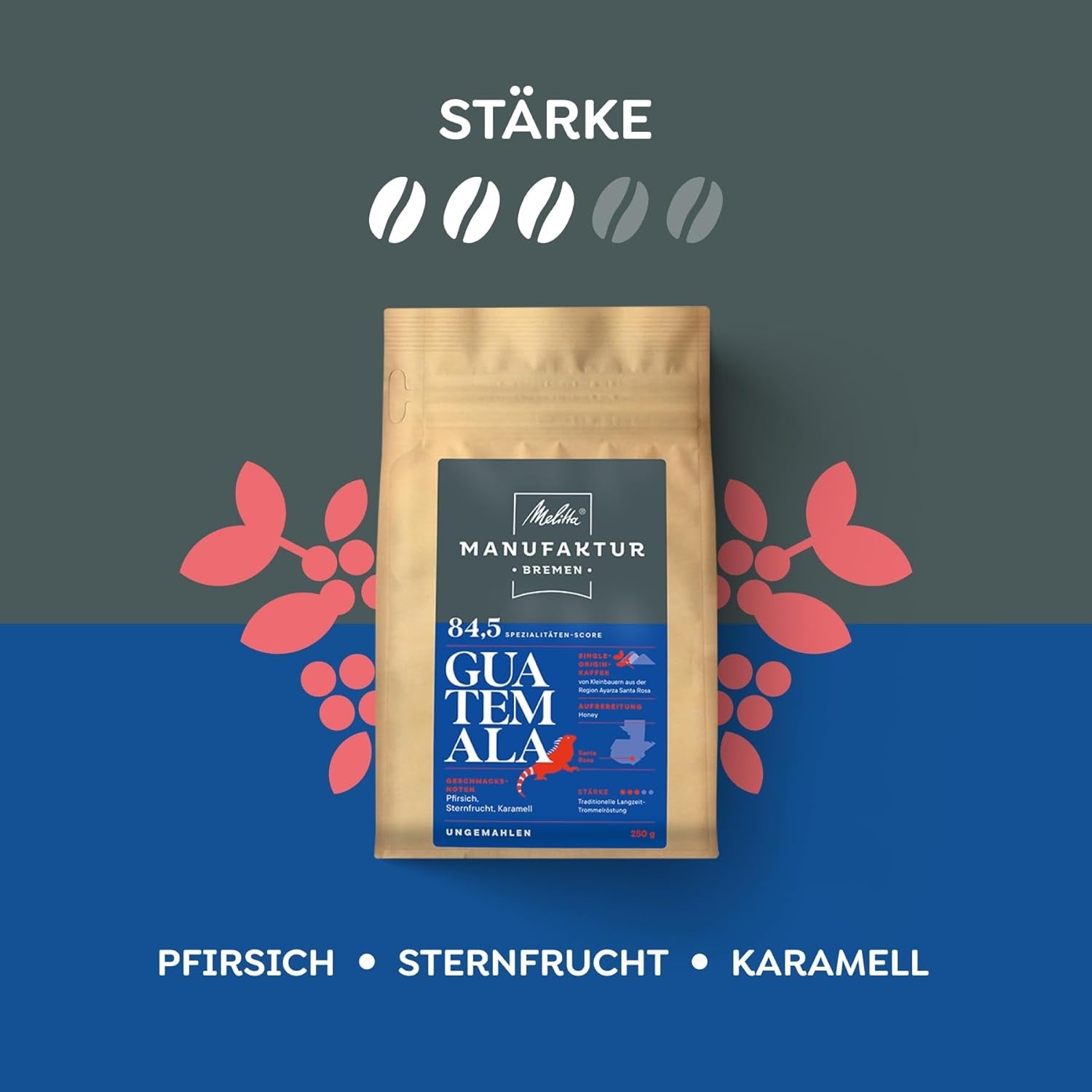 Melitta Manufaktur-Kaffee Guatemala Honning, Spezialitäten, 250g, Ganze Bohnen, Ungemahlen, Single-Origin, Sanfte Trommelröstung, Geröstet i Tyskland, Stärke 3
