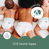 Moomin Baby Eco bleer, str. 3, 5-8 kg, 48 stykker, Premium bløde bleer | Blød og hudvenlig, åndbar, absorberende, ingen unødvendige kemikalier |