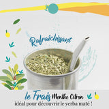 ORIGEENS BIO YERBA MATE MED MYNTE OG CITRONE 200 G - Friskhed I Uristet Bio Yerba Mate, blade, uden stængler og støv