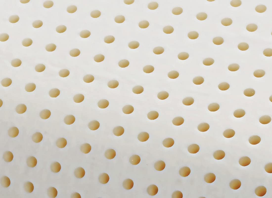 Ortopædisk nakkestøttepude - Økologisk Aloe - Aloe Vera Viskoelastisk pude 14 cm Højde 100% bomuldsbetræk Viscopude - Memory Foam Pude - Made in Italy Naty Shop Standardpuder