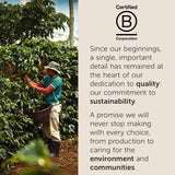 illy, Kaffee E.S.E. Puder Einzeldosis CLASSICO, 100% Arabica med noter af Orangenblüten og Jasmin, Sanfter Gesmack og Süßer Nachgeschmack, 1 Packung med 18 compostierbaren kapsler
