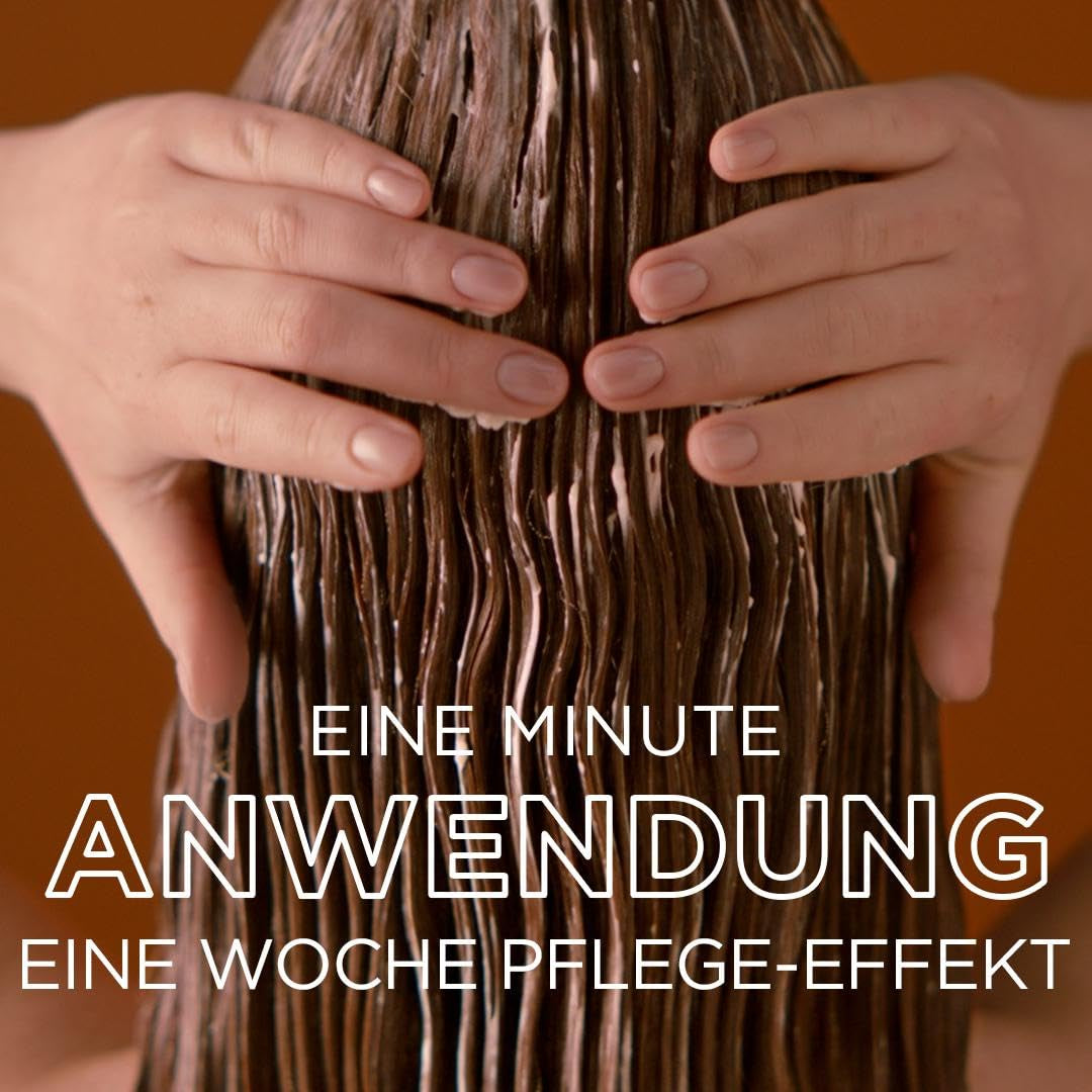 Garnier Olia Hair Color 6.0 Light Brown + True Treasures Repair Treatment (340ml) til beskadiget hår - farvning uden ammoniak, naturlige olier, dækker gråt hår, honning og bivoks, mindre brud Hårfarve Naty Shop