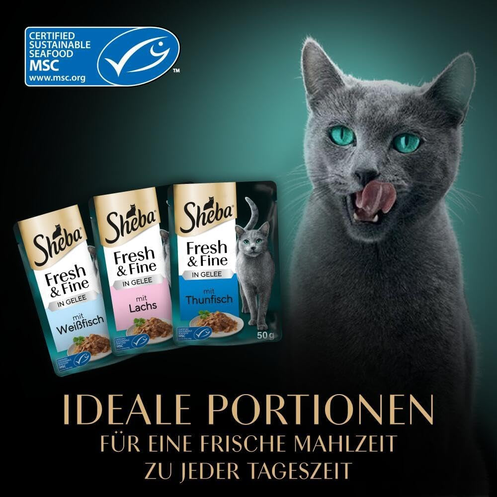 Sheba Portion Pouches Vådfoder til katte, Multipack Fresh & Fine i gelé med MSC tun og laks, 6x6x50g - Sunde måltider til katte med gelé