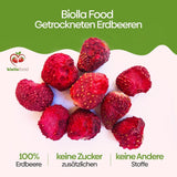 biolla food hele tørrede jordbær, 0,5 kg, 100% naturlig. Sunde snacks til børn. Ideel til smoothies, havremüsli, te og grød. Lang holdbarhed. VEGAN, GLUTENFRI, RAW FOOD Naty Shop Dehydrerede produkter