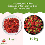biolla food hele tørrede jordbær, 0,5 kg, 100% naturlig. Sunde snacks til børn. Ideel til smoothies, havremüsli, te og grød. Lang holdbarhed. VEGAN, GLUTENFRI, RAW FOOD Naty Shop Dehydrerede produkter