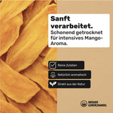 Bremer Gewürzhandel mango, tørrede mangostrimler, usvovlet, uden tilsat sukker, 1 kg Dehydrerede produkter Naty Shop