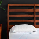 TEMPUR-PEDIC Tempur-Cloud Prohi pude, memoryskum, hvid/overdådig have, King Naty Shop Standardpuder Lav King