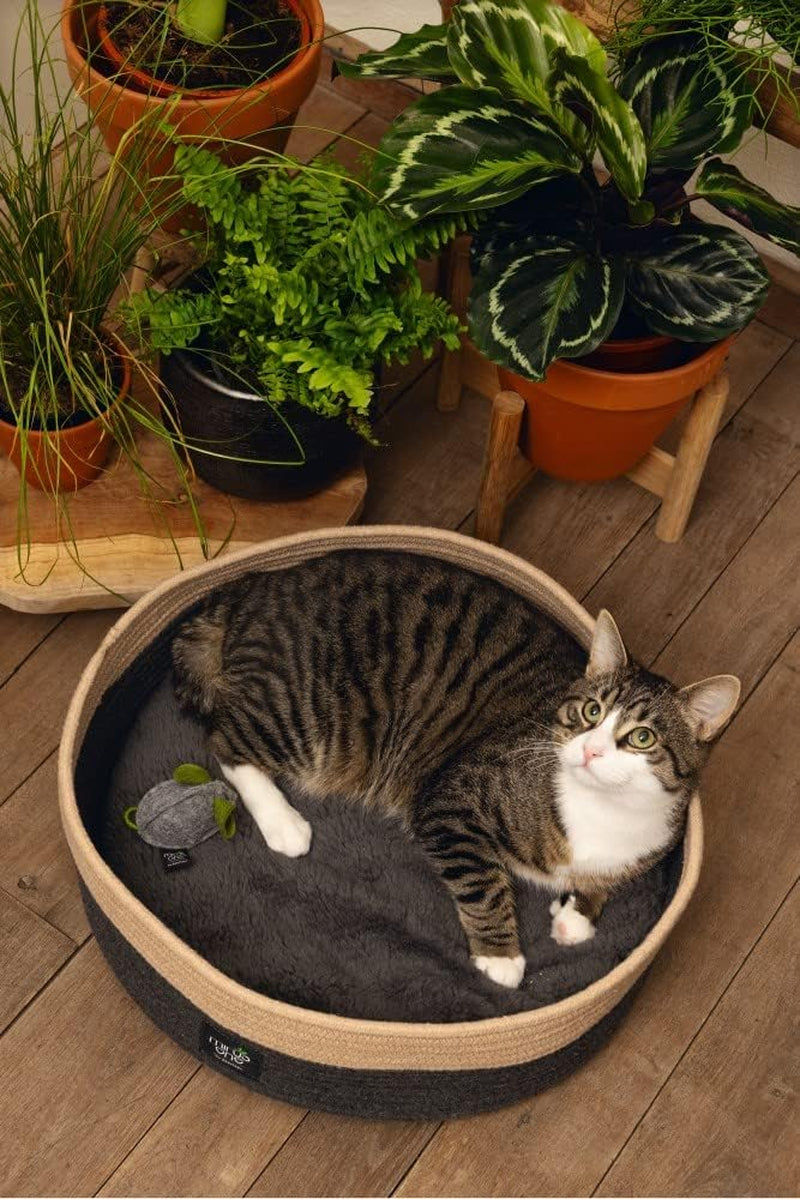 Senge, tæpper & møbler, kæledyr, katte, kattesenge, Katte - senge, madrasser