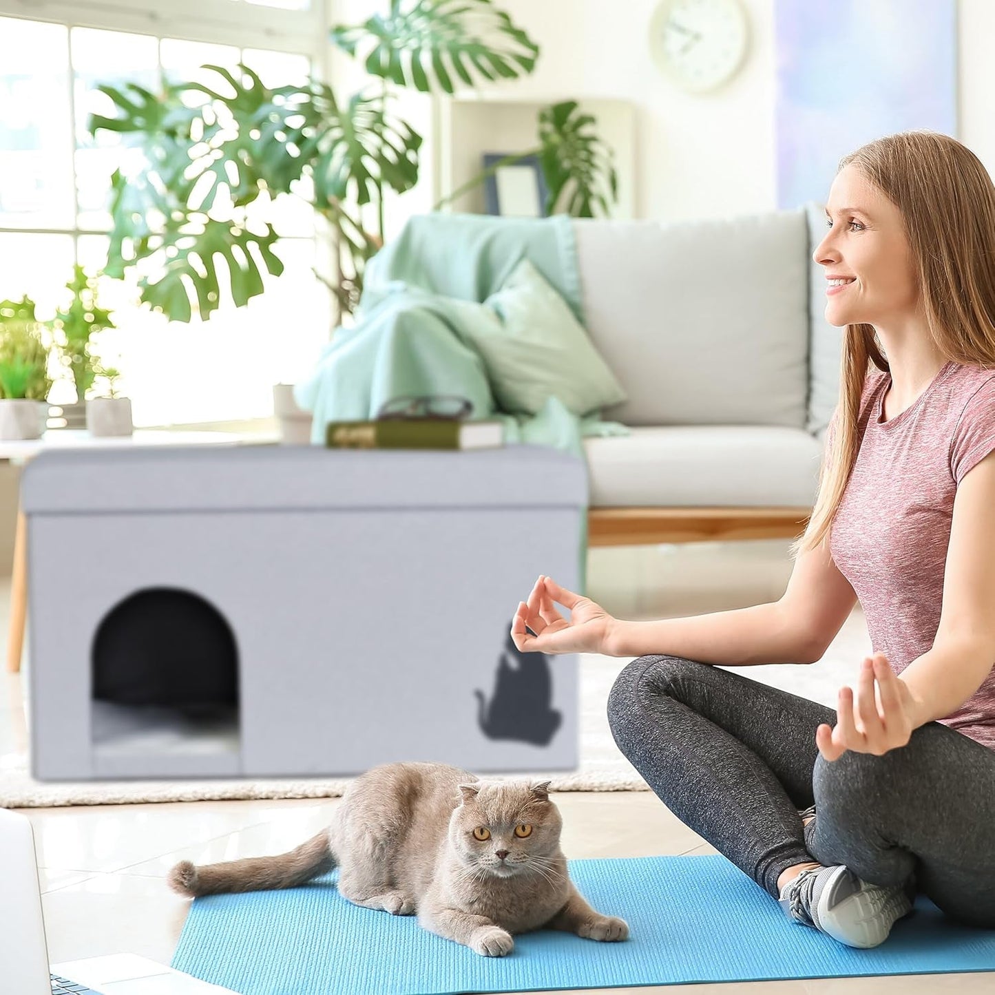 Tæpper og møbler, kæledyr, huler og huse, katte, senge til katte, katte - senge, madrasser