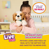 Little Live Pets My Really Real Puppy – Patches; Interaktiv hvalp; over 60 lyde/reaktioner; realistisk udseende; 1 af 72 varianter; legesæt med bæretaske; batterier inkluderet; i alderen 5+