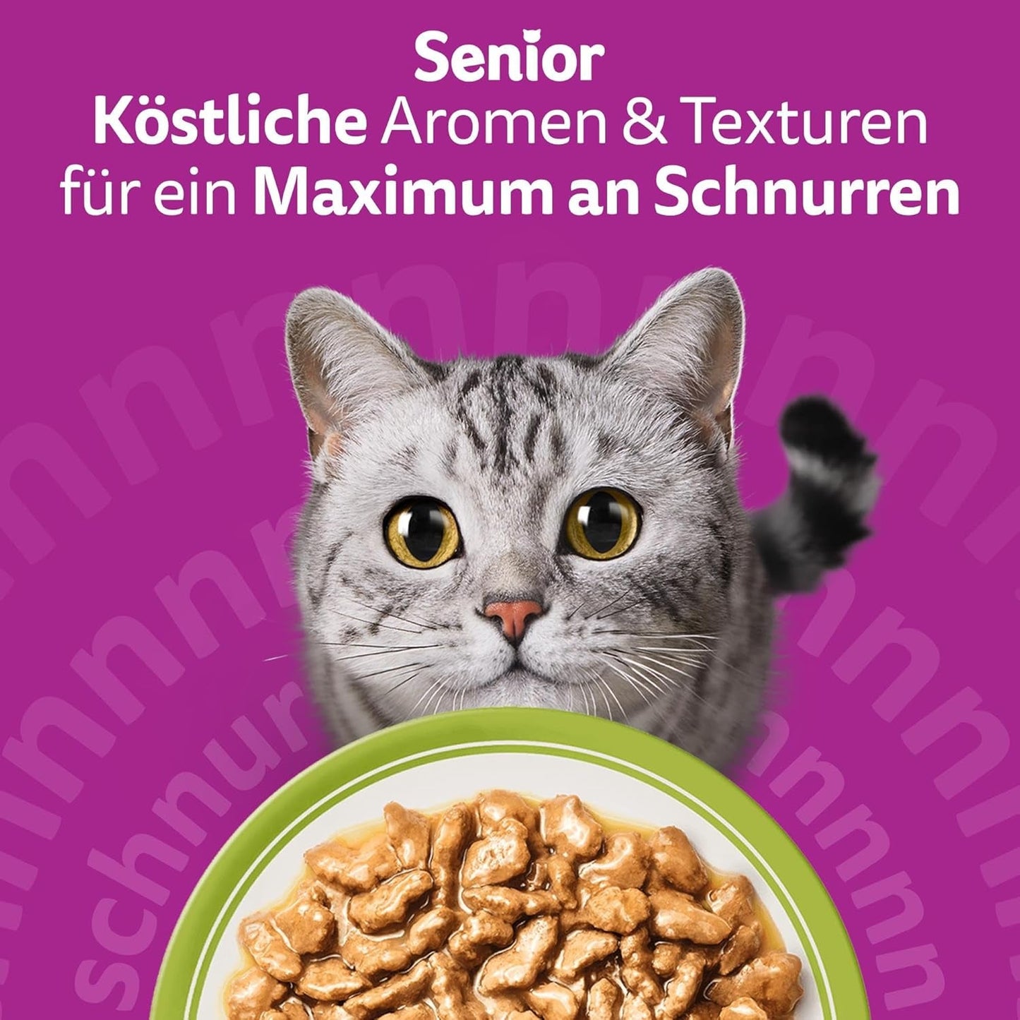Whiskas Senior 7+ vådfoder blandet udvalg i gelé, 84 poser, 84x85 g (1 stor pakke) - Højkvalitets vådfoder til katte fra 7 år og derover
