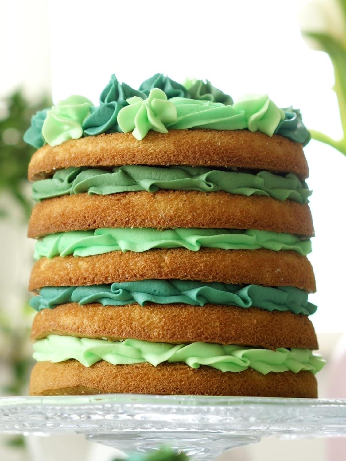 Sugarflair Pasta Madfarve, Grøn, Sæt med 4, Madfarve til Pasta, Fondant, Marcipan, Sukkerpasta, Smørcreme og mere: Ilex Green, Spring Green, Spruce Green, Party Green - Sæt med 4