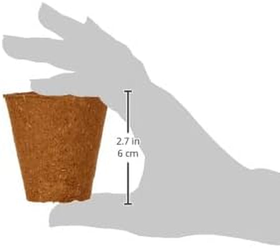 Dehner potter til frøplanter, runde, Ø 6 cm, 96 stk., brune