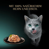 SHEBA-fileter Voksen Katzenfutter i Sauce med Kylling, Hochseefisch og Garnelen 16 x 60 g Shell
