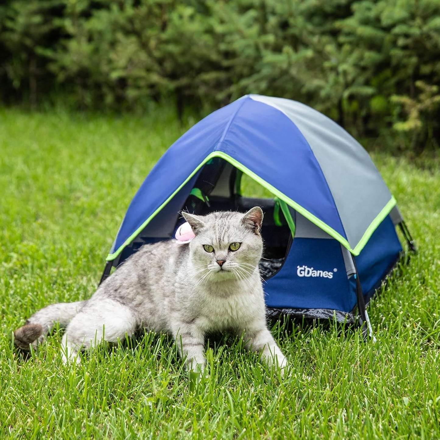 Tæpper og møbler, kæledyr, huler og huse, katte, senge til katte, katte - senge, madrasser