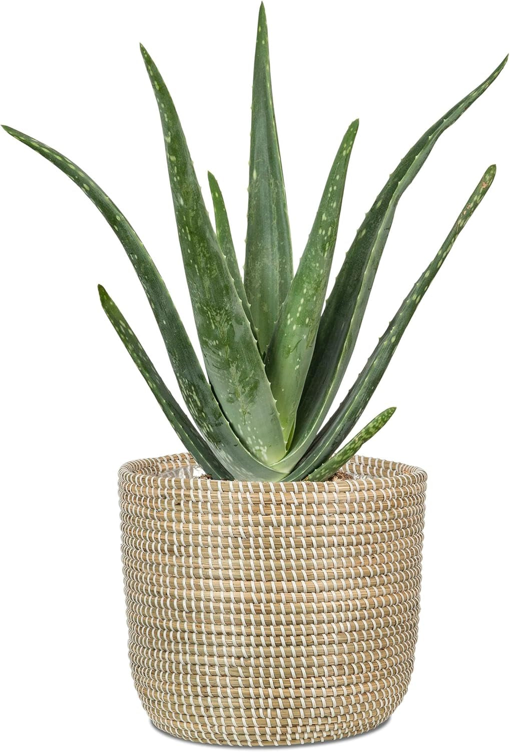 Scheurich Seagrass 17, kurvepotte/søgræskurvepotte, farve: Hvid, diameter 17 cm, højde 16 cm, volumen 3,5 l.