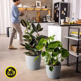 Plantekasse LECHUZA Classico Color ECO 35 Mørkegrå | Plantekasse med vandingssystem og vandstandsindikator | Fremstillet af 100 % genbrugsplast | Mat finish | Ø 34,5 x 32,5 cm | 18935