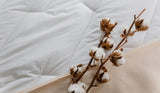Percale Bomuldsdyne 240 X 220 cm Høj kvalitet 100% Percale Bomuld Blød og behagelig Holdbar Fin finish Lavet i Frankrig Hvide dyner og dyner Naty Shop