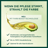 Garnier Nutrisse Permanent Care Hårfarve med nærende frugtolier, 8 ugers hold, Ultra Crème Tint, 036 Black Cherry (pakke med 2) Naty Shop hårfarve