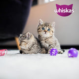 Whiskas Junior Classic Selection våd kattefoder i sauce, 48 poser, 12 x 85 g (pakke med 4) - Højkvalitets vådfoder til katte i vækst, 2 til 12 måneder