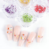 EYVRPAU 6 Stück Nail Art Flowers Set Decoration, Gelnägel Zubehör 6 Farben, Nail Art Aufkleber Trockene Blumen Kit Getrocknete Blumen Zubehör Set DIY Nageldekoration