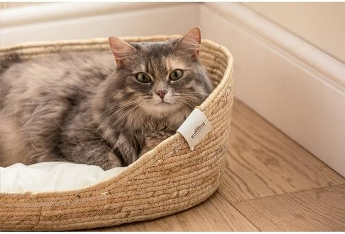 Senge og sofaer, tæpper og møbler, kæledyr, katte, senge til katte, katte - senge, madrasser