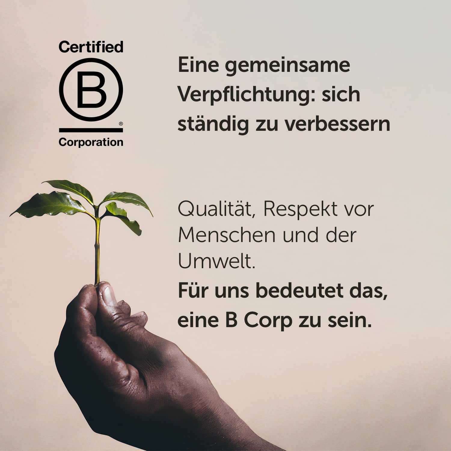 Illy Arabica Selection Guatemala kaffebønner til formaling, æske 250g