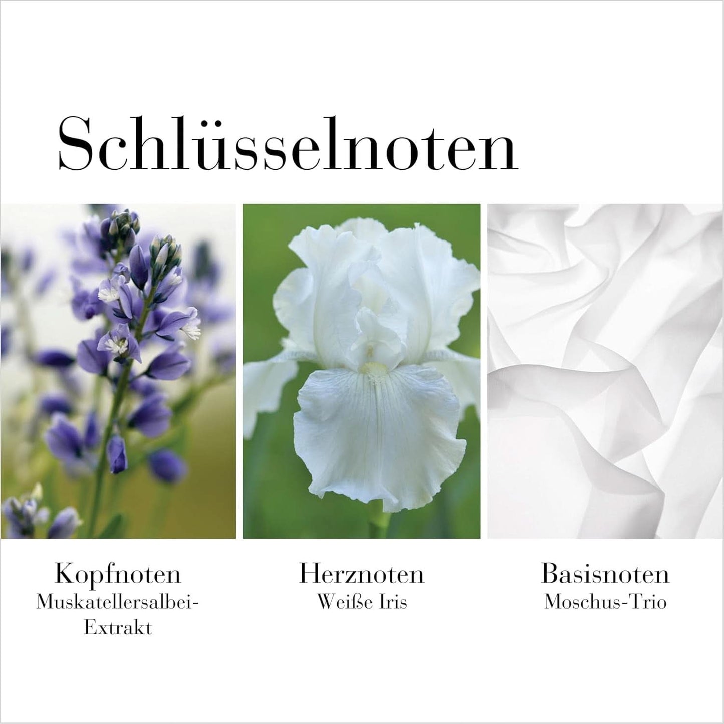 Elizabeth Arden - Hvid te, kropscreme, med smag af hvid te, 400 ml Kosmetik og skønhed Naty Shop