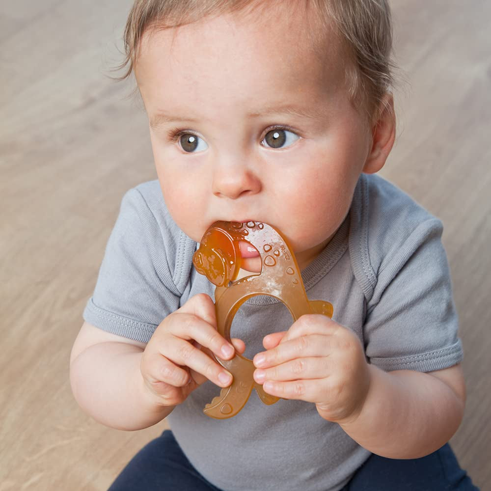 GRÜNSPECHT Økologisk tandring Naturgummi til tænder til babyer, masserer tandkød, BPA-fri, Blød, fremmer finmotorikken, dinosaurmønster (639-V1)