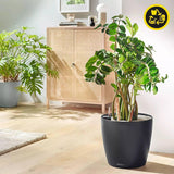 Plantekasse LECHUZA Classico Color ECO 60 Mørkegrå | Plantekasse med vandingssystem og vandstandsindikator | Fremstillet af 100 % genbrugsplast | Mat finish | Ø 60 x 55,5 cm | 18955