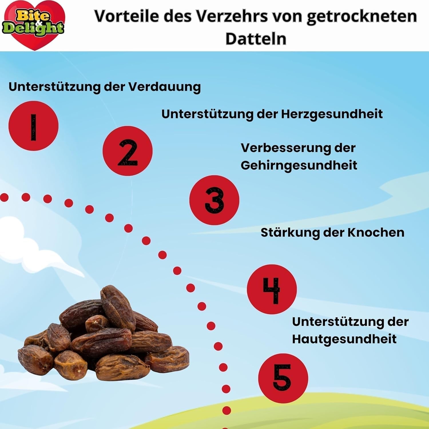 Bite & Delight tørrede dadler - Hele, tørrede og naturlige - Aromatiske slik - Lækre og saftige - Spiseklare frugtsnacks - Vegansk - Uden tilsat sukker - 1250g Naty Shop dehydrerede produkter
