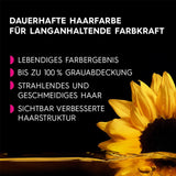 Garnier Olia 110 Cool Ash Blond Ammoniakfri permanent hårfarve med nærende naturlige olier Fuld dækning Grå hår Permanent farve 1 stk (2 pakke) Naty Shop hårfarve