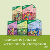 Salus - Krafttier Tea - Brave Dragonfly - 1X 15 filterposer (24g) - Urtete med citronsmag - Med perikon - Smag - Bio