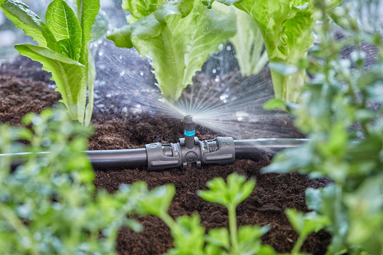 Gardena Micro-Drip-System T-stykke til sprøjtedyser: Forbindelse mellem 13 mm rør og en sprøjtedyse, automatisk plantevanding, hurtig og nem tilslutningsteknologi, genanvendelig (13206-20)