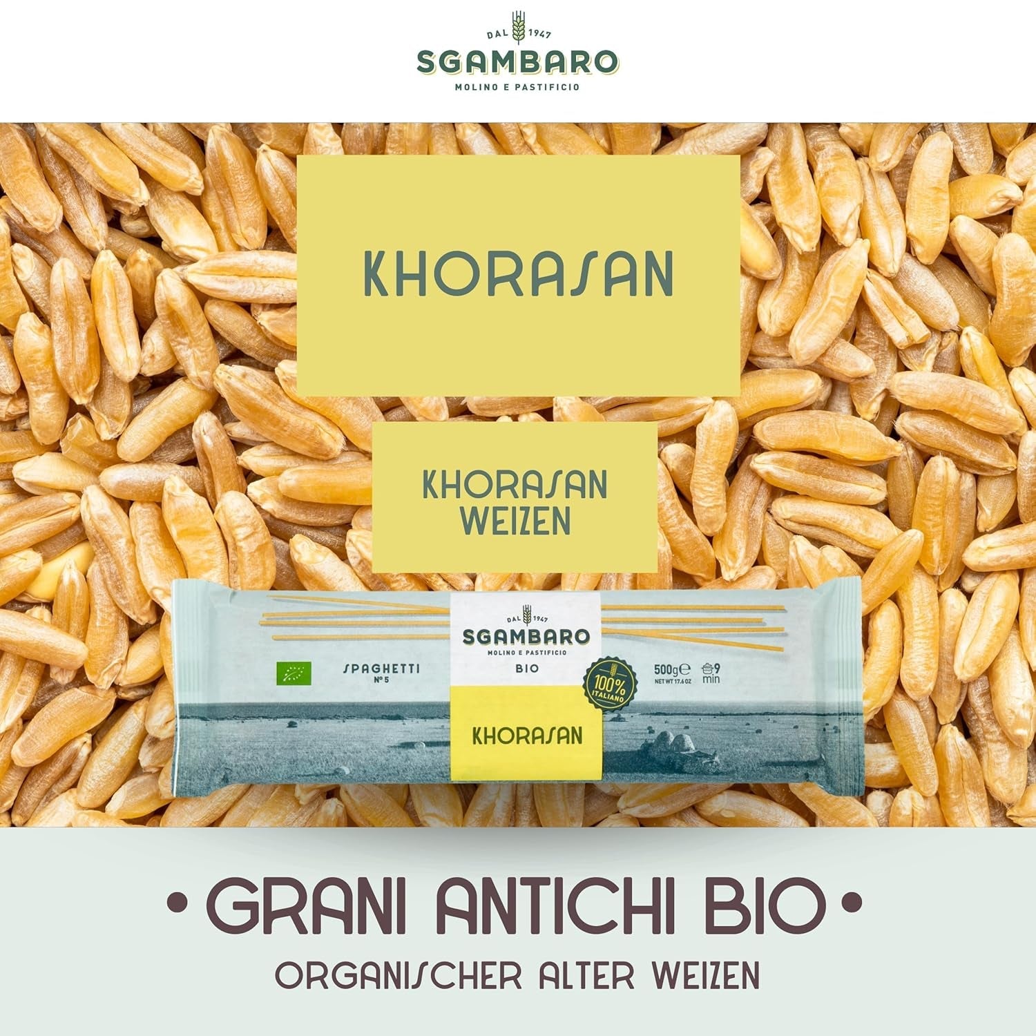 Økologisk spaghetti pasta nr. 5 - 500 g Khorasan hvede - Gamle hvede, høj i protein, 100% italiensk dyrket - Alsidig i køkkenet og rig på næringsstoffer
