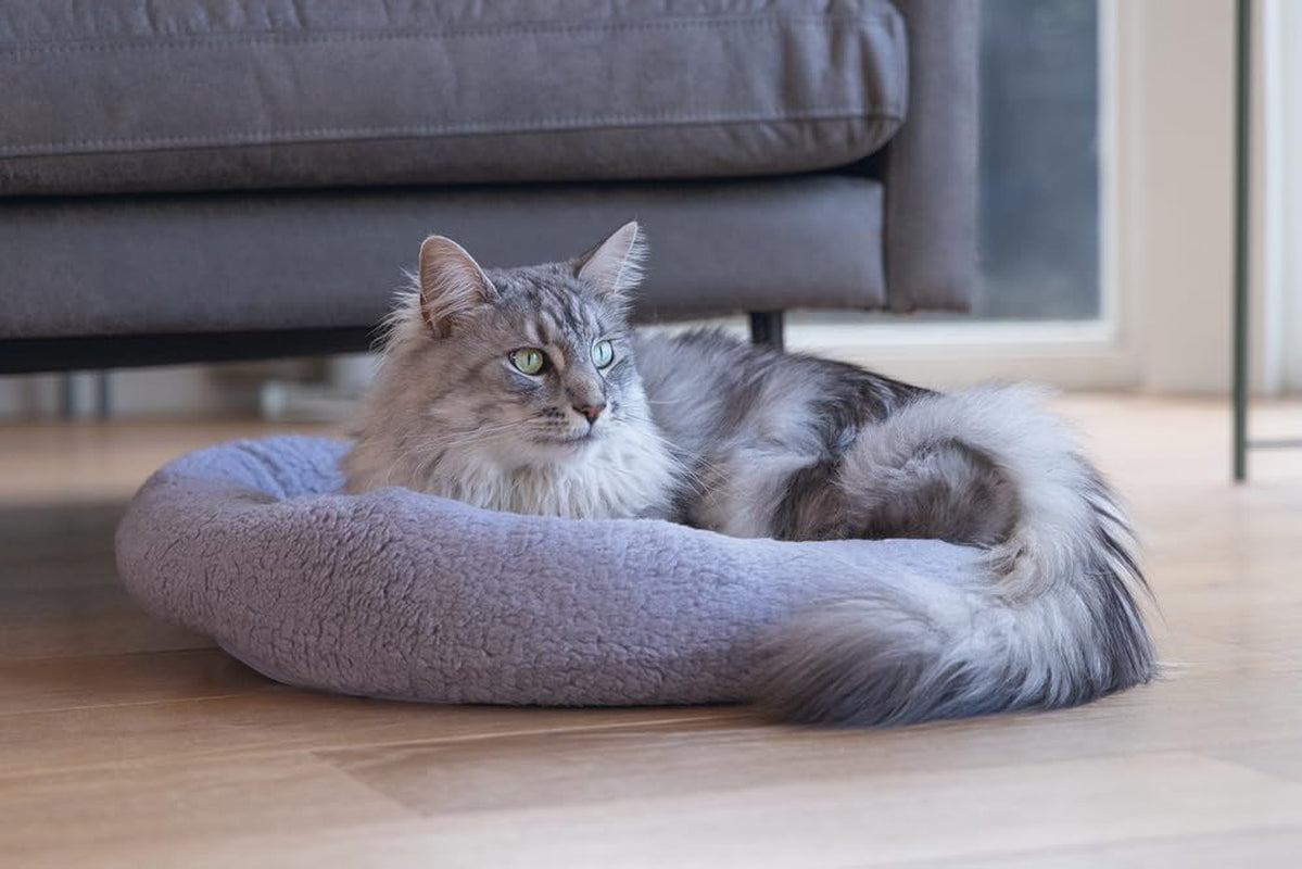 Senge, tæpper & møbler, kæledyr, katte, kattesenge, Katte - senge, madrasser