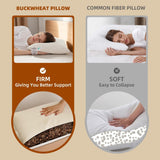 LOFE Økologisk Boghvede Sovepude 14" X 20" Justerbar åndbar Cool Sleep cervikal støtte til ryg- og sidesveller (tartarisk boghvedeskrog) Naty Shop Standardpuder