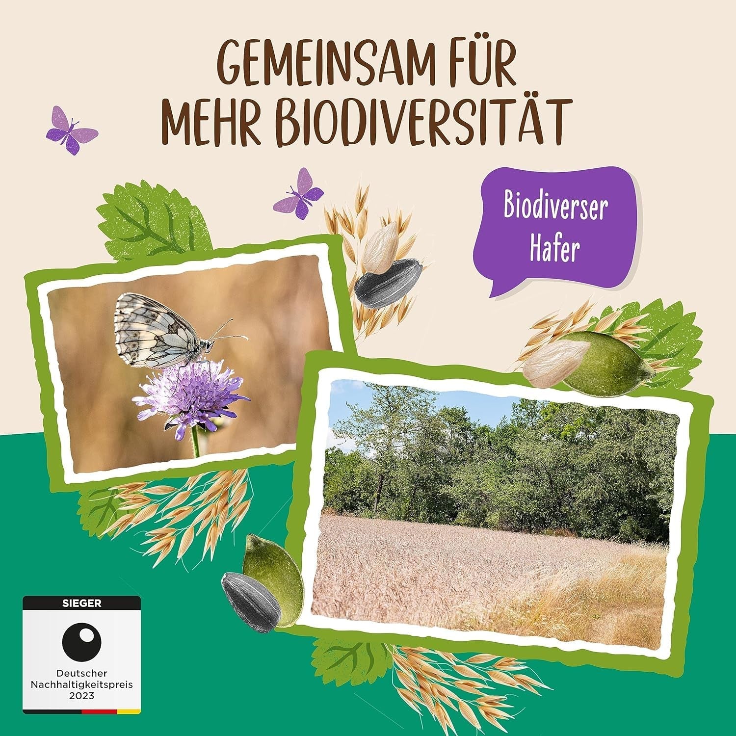 Allos usødet protein müsli | Økologisk müsli | Havregryn | Korn til morgenmad | Vegansk (5 x 450 g), 1 stk (pakke med 5)
