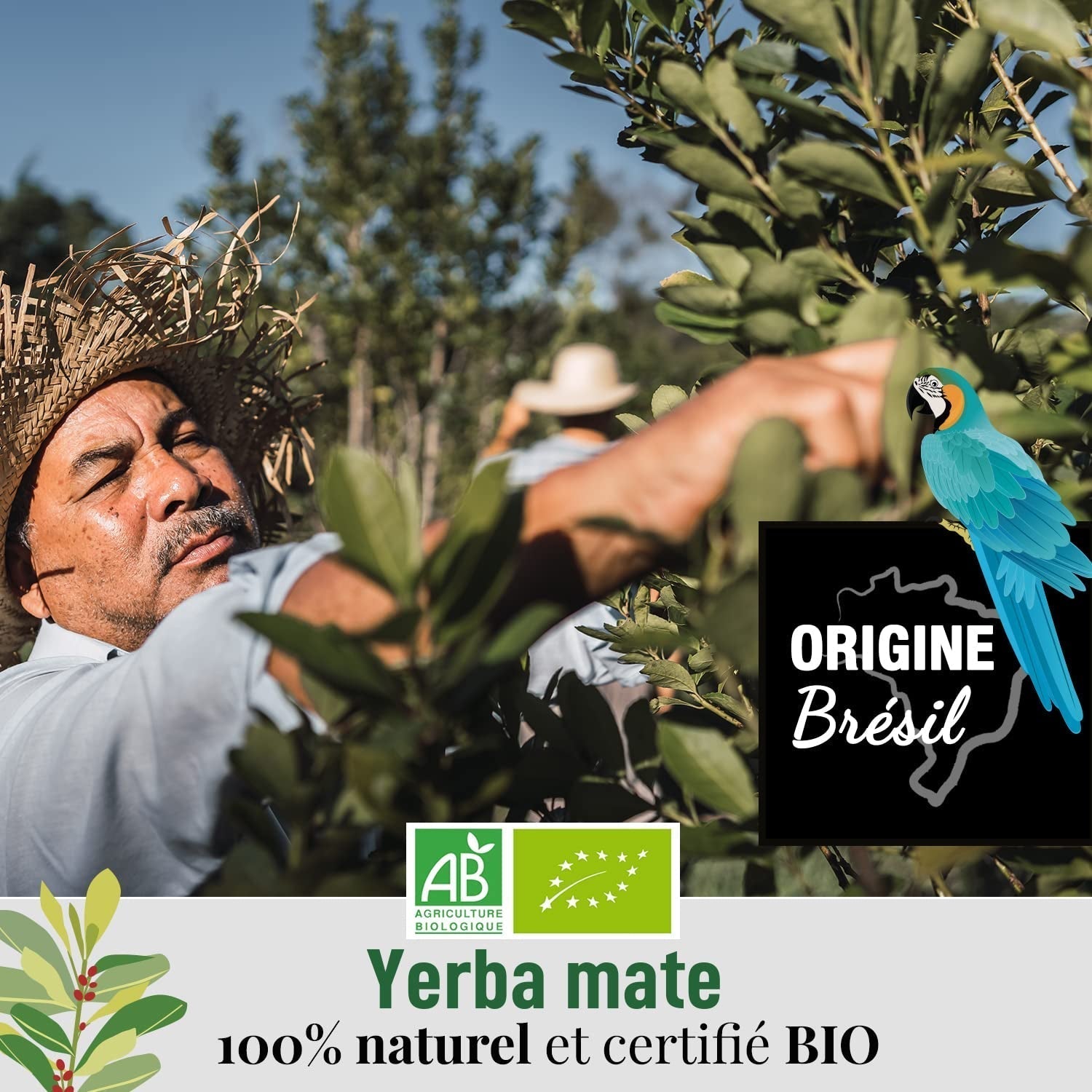 ORIGEENS BIO YERBA MATE TEA 200G - Den originale I Bio Yerba Mate uristet, blade, uden stængler, støv og krummer I Energigivende og afgiftende drik