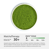 Matcha terapi 30+ | Økologisk Matcha tepulver | 60 g | Med et verificeret indhold på mindst 30 mg/g catechin EGCG | Understøtter immunsystemet og energiniveauet | Ceremoniel kvalitet | Grøn te fra Japan