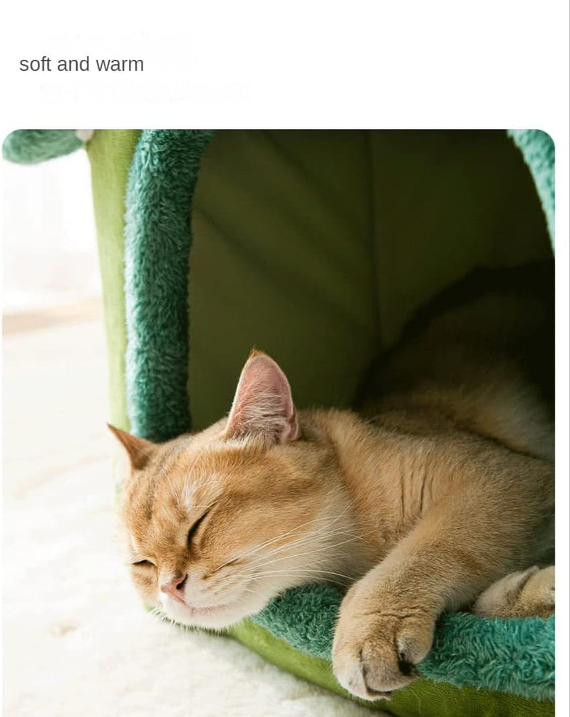 Tæpper og møbler, kæledyr, huler og huse, katte, senge til katte, katte - senge, madrasser