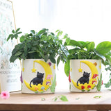 GUGUGO Cute Moon Cat urtepotter, unik blomsterpotte med dræning, regnbuefarver, små potteplanter, sjove sukkulente havepotter, gave, boligdekoration (C)