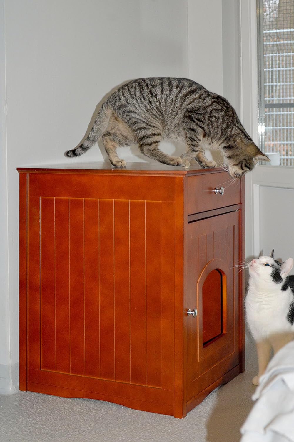 Tæpper og møbler, kæledyr, huler og huse, katte, kattesenge, katte - senge, madrasser