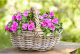 Dehner rattan blomsterkurv med hank, ca. 46 x 39 x 18 cm, rattan stof, grå/brun