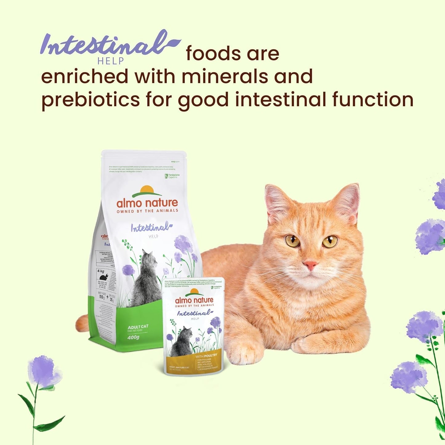 Almo Nature Functional - Tarmhjælp - Vådfoder til voksne og modne katte med følsomme tarme - med fjerkræ - understøtter mikrobiomet - 70 g (pakke med 30)