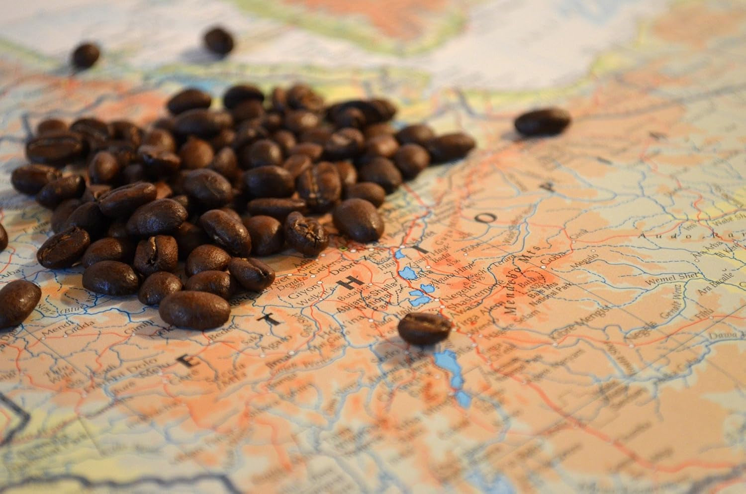 C&T Coffee Rarity - Wild Coffee from Ethiopia, Africa | 1000g kaffe (hele bønner) - stærk og frugtig | + Wild Cultivated + Hand Picked + Sun Dried + Lightly Roasted