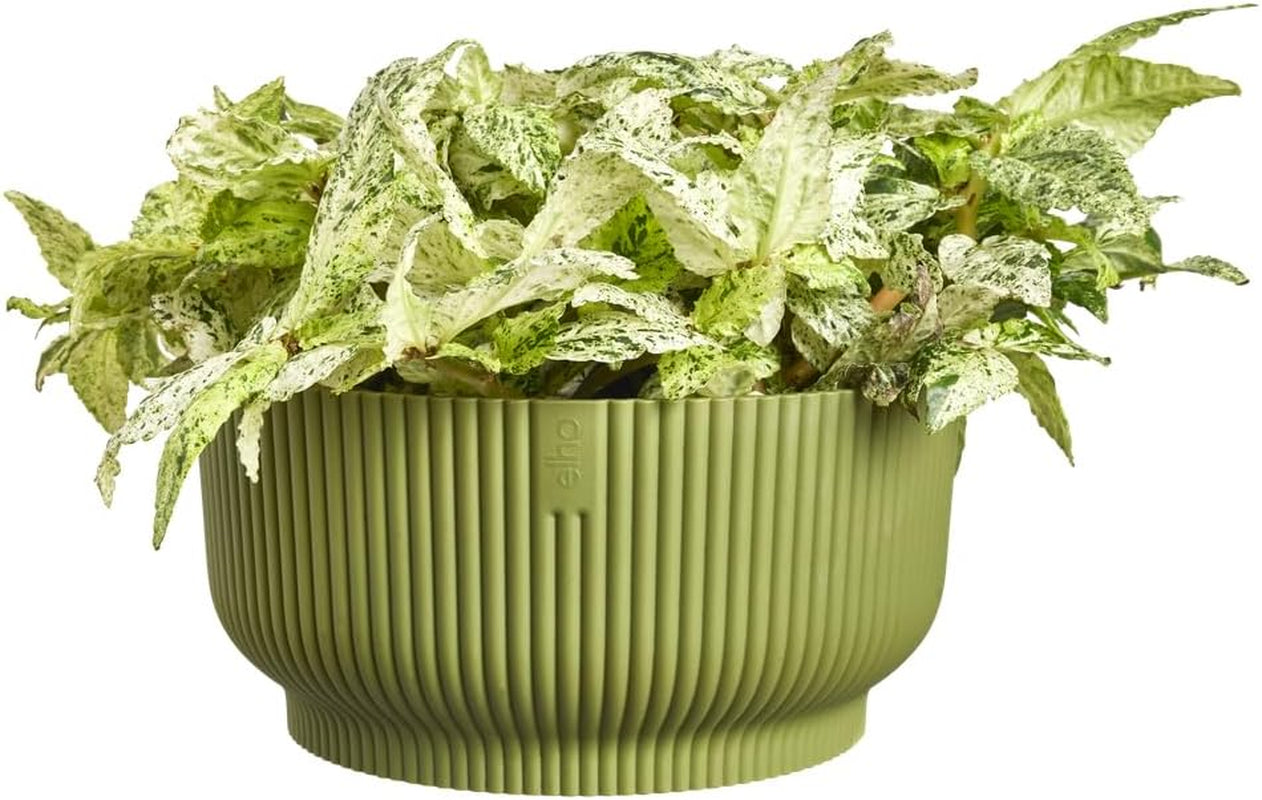 elho Vibes Fold Bowl 25 - Indendørs urtepotter - 100% genbrugsplast - Ø 24,9 x H 12,1 cm - Grøn/Ferngrün