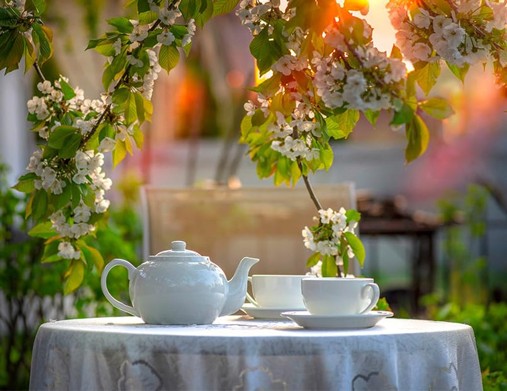 Babcia Jagoda - Frugtte "Fruchtige Verführung" - 20 teposer - Med hibiscus, æble, aronia, brombær, hyben, appelsinskal - Intens frugtsmag, koffeinfri, vegansk, naturlig, Cay - 40G