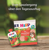 HiPP Økologiske pære- og blommeposer, fuldkorn, 16 stykker (4 pakker á 4 x 90 g hver), til babyer fra 6 måneder, uden tilsat sukker, vegansk, bedste økologiske kvalitet