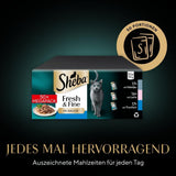 Sheba CATCARE Bag Wet Fresh & FINE (Fisk) Stykker i sauce Voksen 50g Multipack Standard